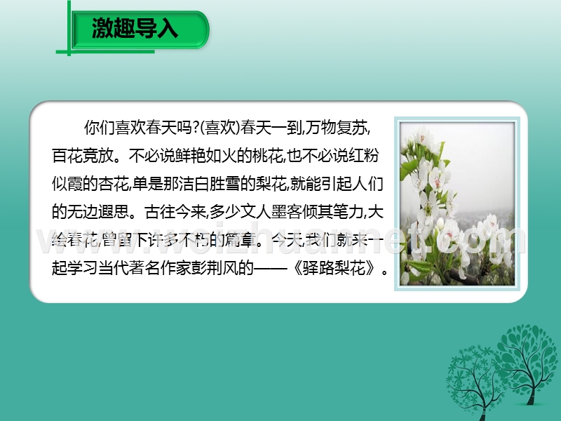 2017七年级语文下册 第四单元 第14课 驿路梨花课件1 新人教版.ppt_第2页