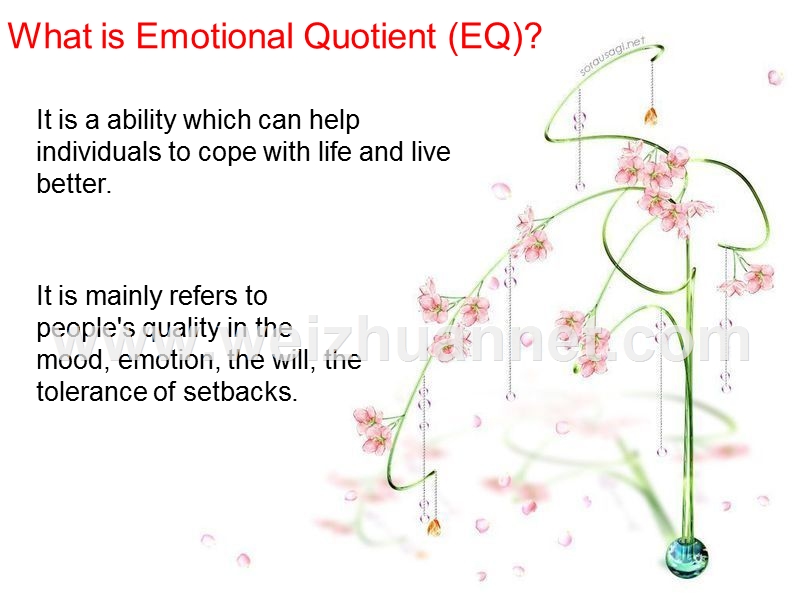 eq-英语演讲.ppt_第3页