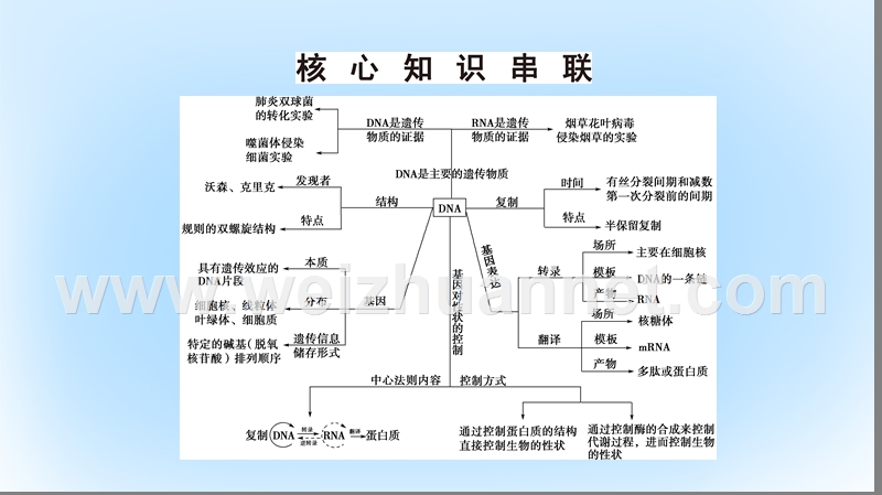 2017届高考生物二轮复习 第1部分 板块2 遗传 专题6 遗传的分子基础课件.ppt_第3页