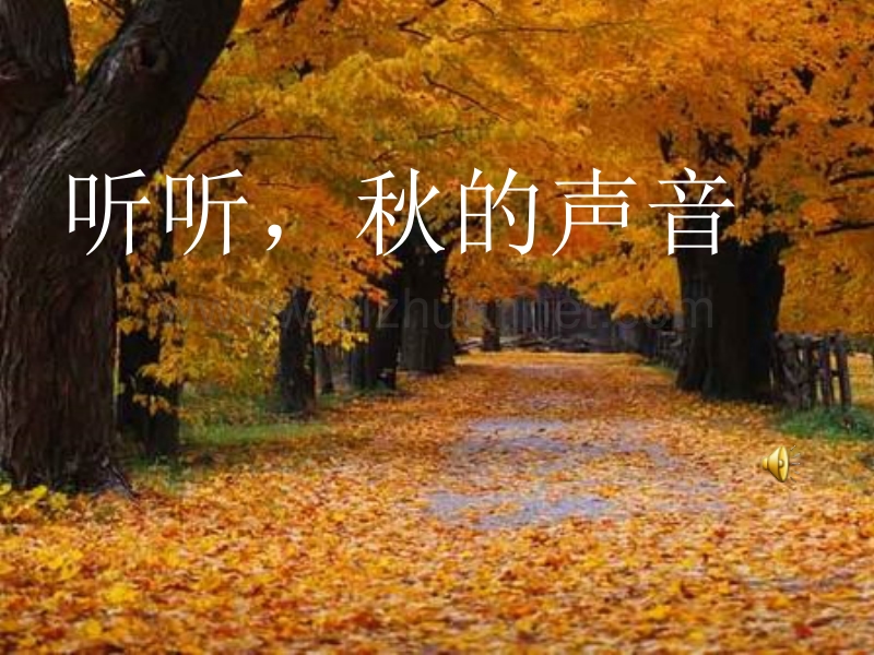 听听秋的声音.ppt_第1页