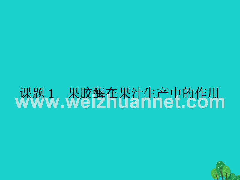 2017届高中生物专题4酶的研究与应用课题1果胶酶在果汁生产中的作用课件新人教版选修1.ppt_第2页