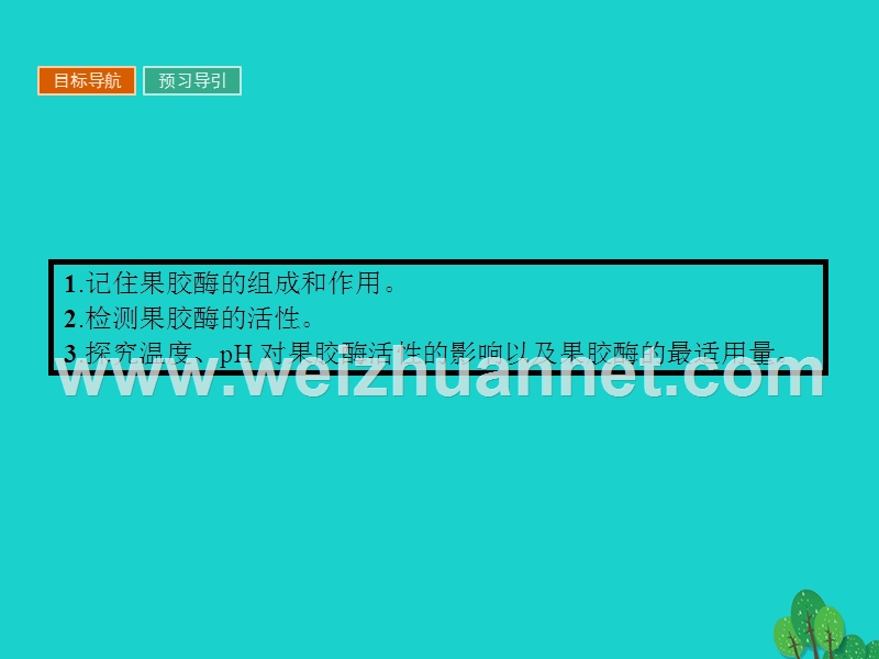 2017届高中生物专题4酶的研究与应用课题1果胶酶在果汁生产中的作用课件新人教版选修1.ppt_第3页