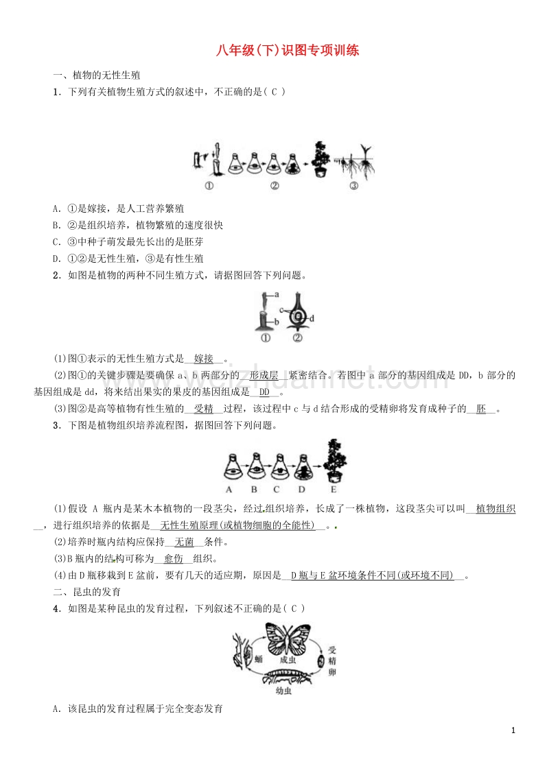 【中考命题研究】（怀化专版）2017年中考生物 教材知识梳理 第八单元 健康地生活 八年级(下)识图专项训练.doc_第1页