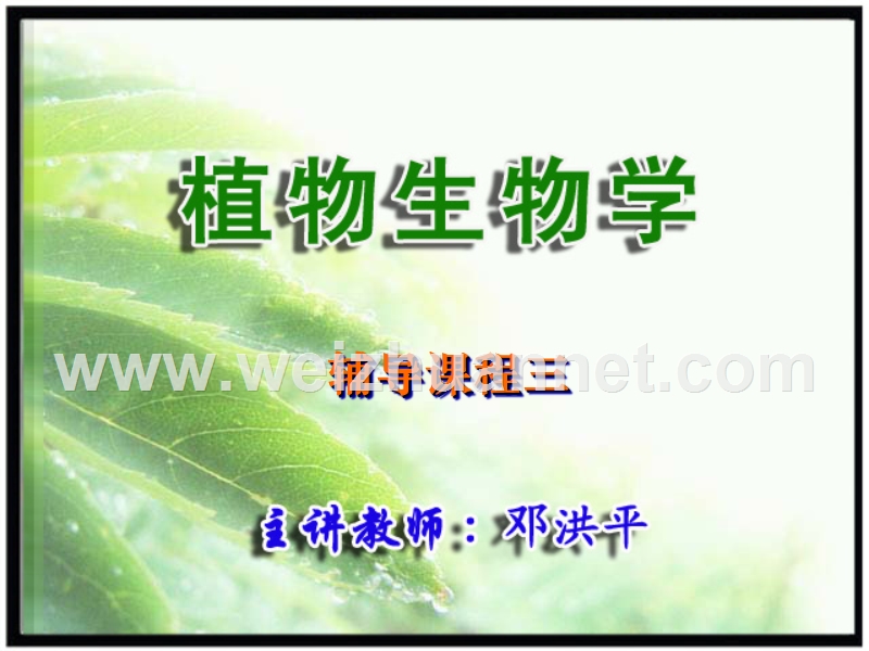 0424-植物生物学-辅导课程03-20(第二章)3-植物的形态-结构和发育.ppt_第1页