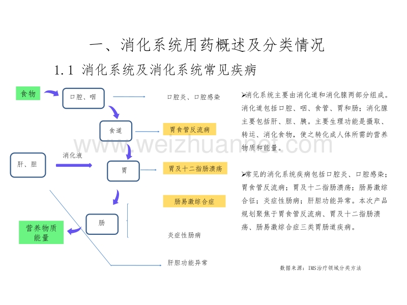 胃肠疾病领域产品线规划.pptx_第2页