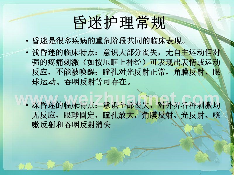 常见内科危重病人的护理常规.ppt_第3页