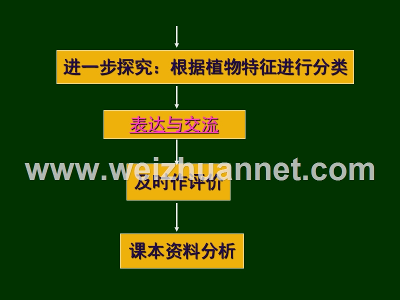 八年级生物尝试对生物进行分类3.ppt_第3页