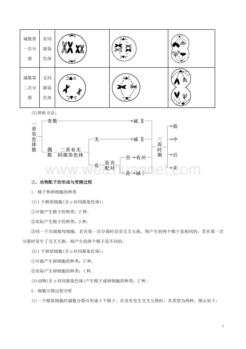 2017届高考生物二轮复习专题04细胞的生命历程教学案（含解析）.doc_第3页