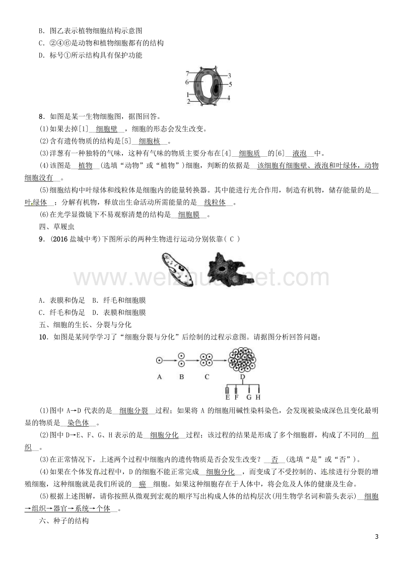 【中考命题研究】（怀化专版）2017年中考生物 教材知识梳理 第三单元 生物圈中的绿色植物 七年级(上)识图专项训练.doc_第3页