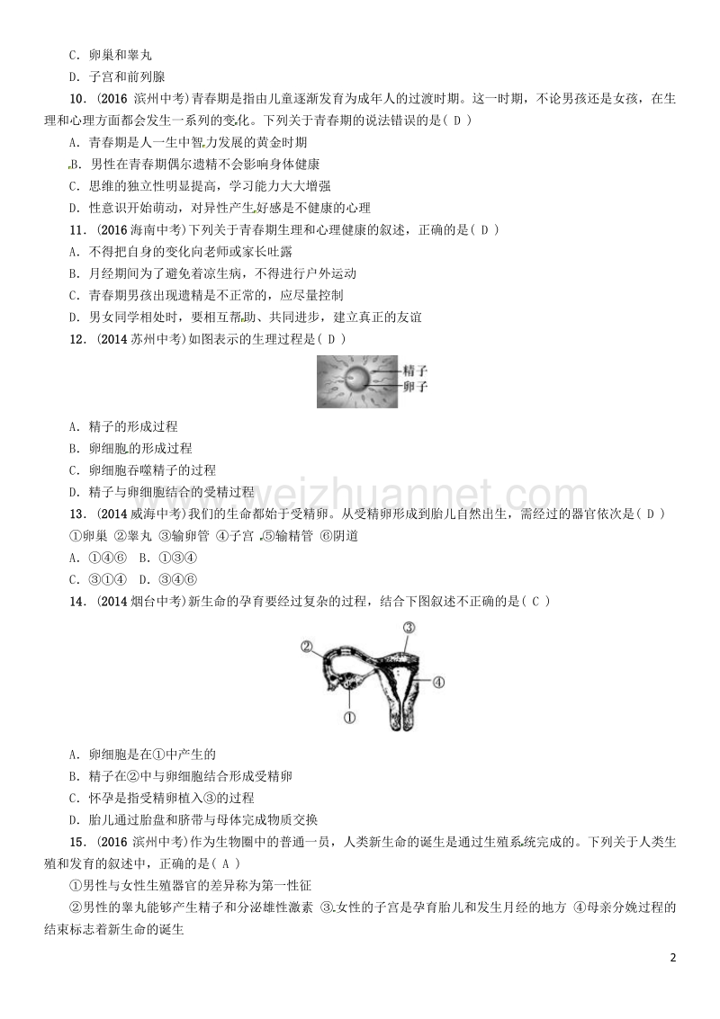 【中考命题研究】（怀化专版）2017年中考生物 教材知识梳理 第四单元 生物圈中的人 第一讲 人的由来精练.doc_第2页