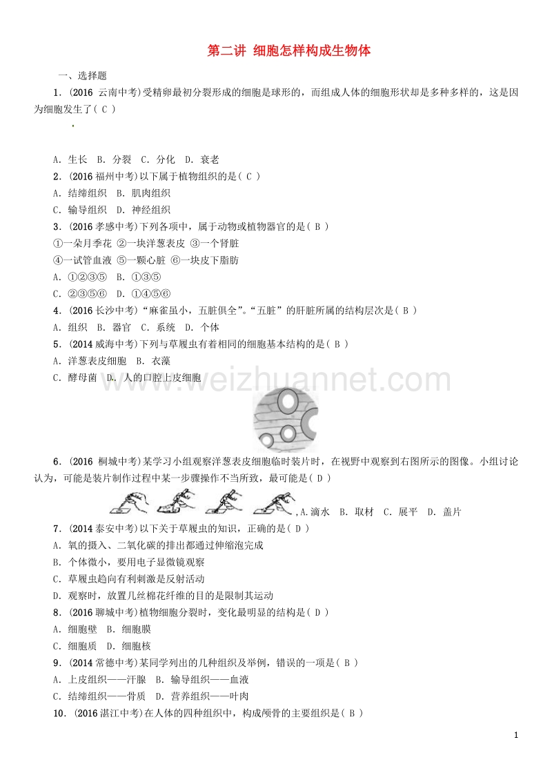 【中考命题研究】（怀化专版）2017年中考生物 教材知识梳理 第二单元 生物体的结构层次 第二讲 细胞怎样构成生物体精练.doc_第1页