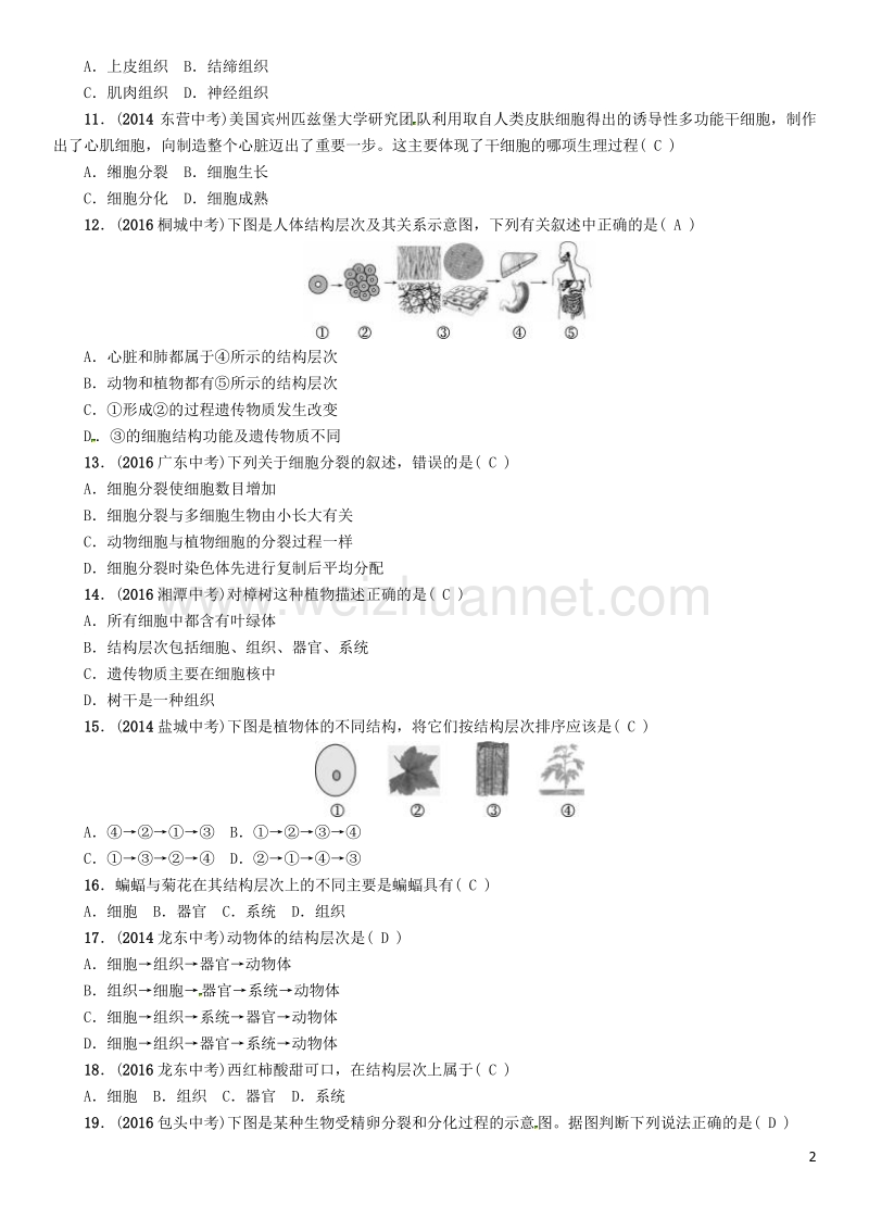 【中考命题研究】（怀化专版）2017年中考生物 教材知识梳理 第二单元 生物体的结构层次 第二讲 细胞怎样构成生物体精练.doc_第2页