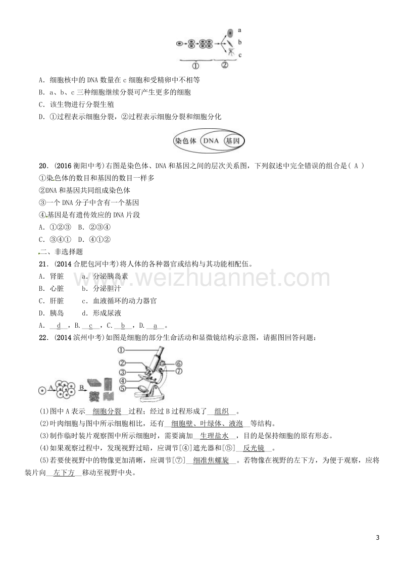 【中考命题研究】（怀化专版）2017年中考生物 教材知识梳理 第二单元 生物体的结构层次 第二讲 细胞怎样构成生物体精练.doc_第3页