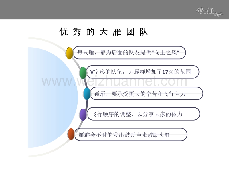 团队领悟——大雁精神.ppt_第2页