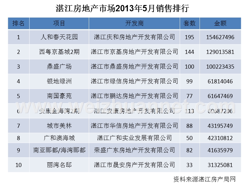 2013年湛江房地产销售排行榜.ppt_第1页