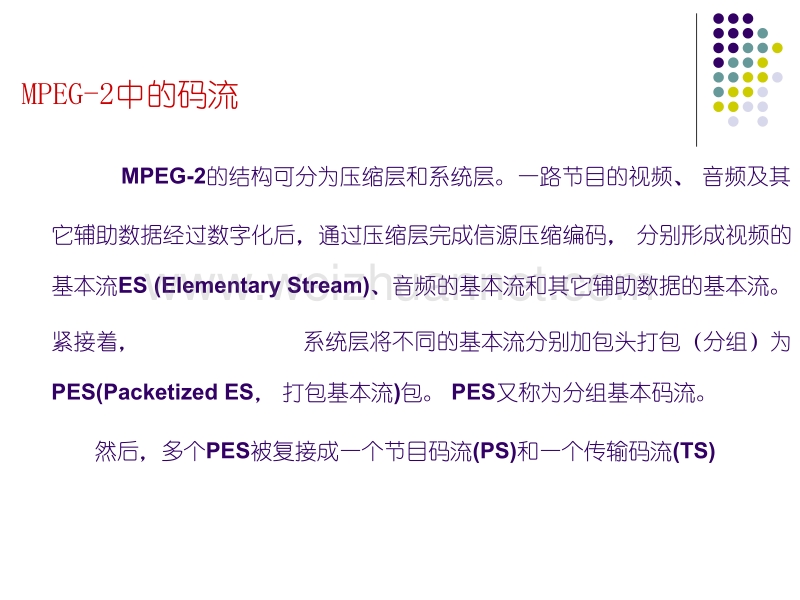 数字电视码流基础.ppt_第2页