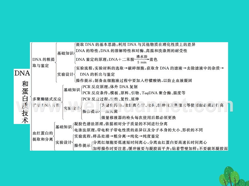 2017届高中生物专题5dna和蛋白质技术整合提升课件新人教版选修1.ppt_第2页