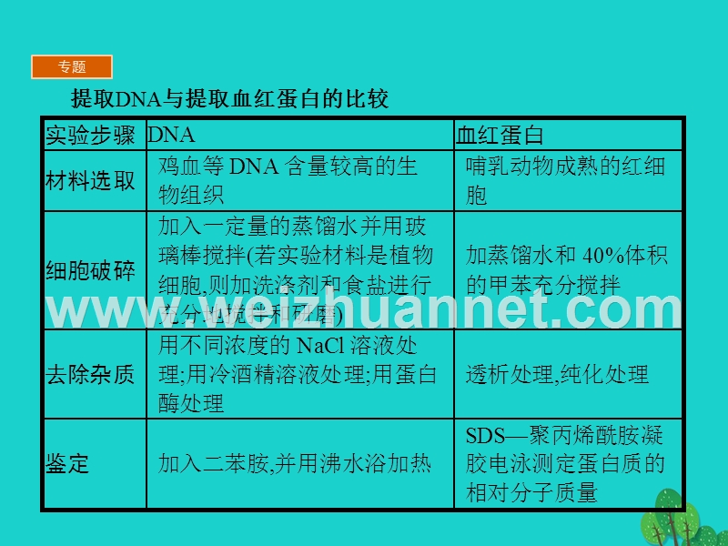 2017届高中生物专题5dna和蛋白质技术整合提升课件新人教版选修1.ppt_第3页