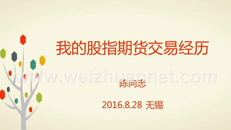 陈向忠讲义.ppt_第1页