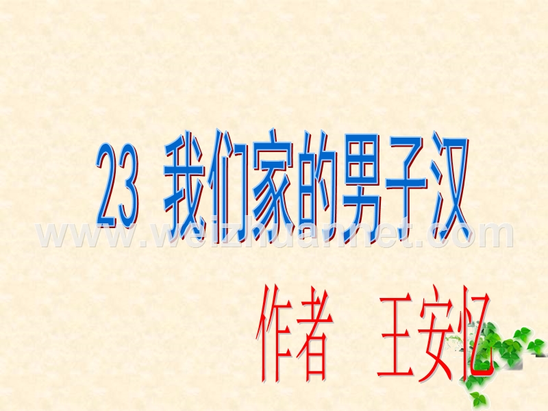 23---我们家的男子汉.ppt_第2页