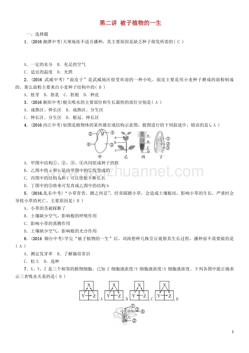 【中考命题研究】（怀化专版）2017年中考生物 教材知识梳理 第七单元 生物圈中生命的延续和发展 第二讲 被子植物的一生精练.doc_第1页