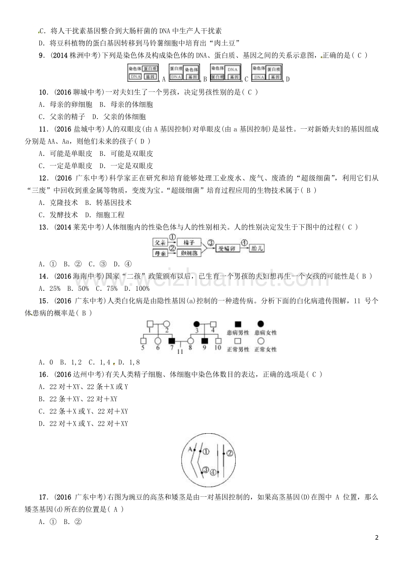 【中考命题研究】（怀化专版）2017年中考生物 教材知识梳理 第七单元 生物圈中生命的延续和发展 第二讲 生物的遗传与变异精练.doc_第2页