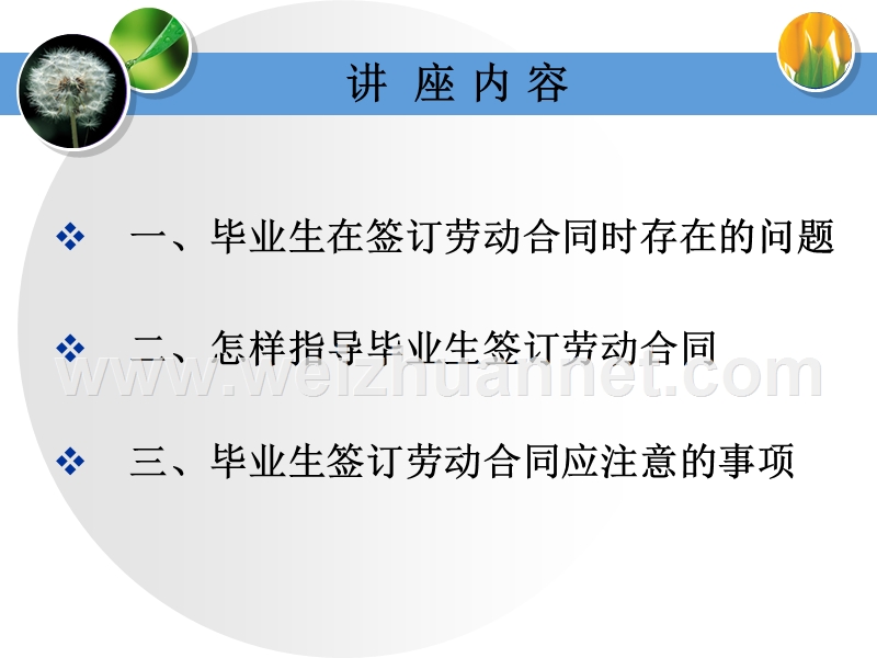 毕业生如何签定劳动合同.ppt_第2页