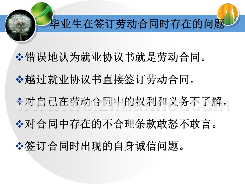 毕业生如何签定劳动合同.ppt_第3页