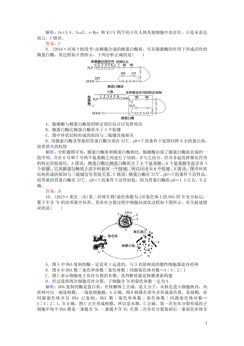 2017届高考生物二轮复习高考黄金模板（一）.doc_第3页