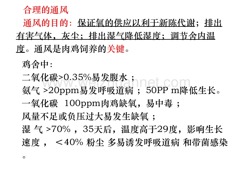 现代化肉鸡养殖技术-通风篇.ppt_第2页