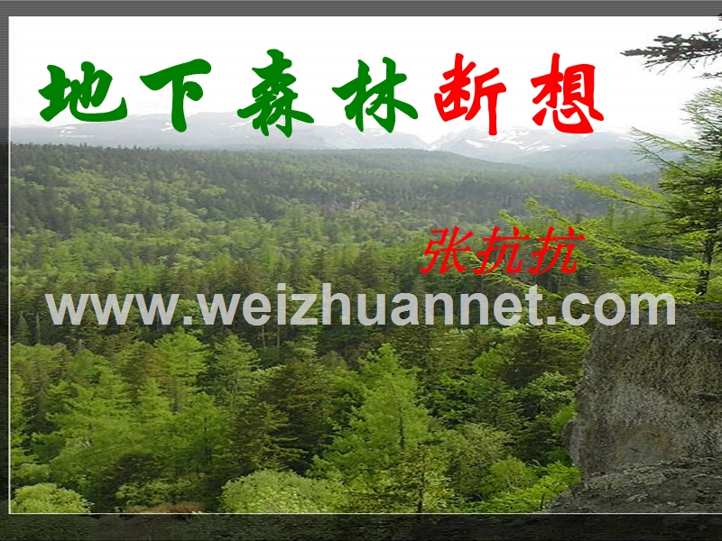 [名校联盟]山东省肥城市石横镇初级中学九年级语文下册《地下森林断想》课件.ppt_第1页