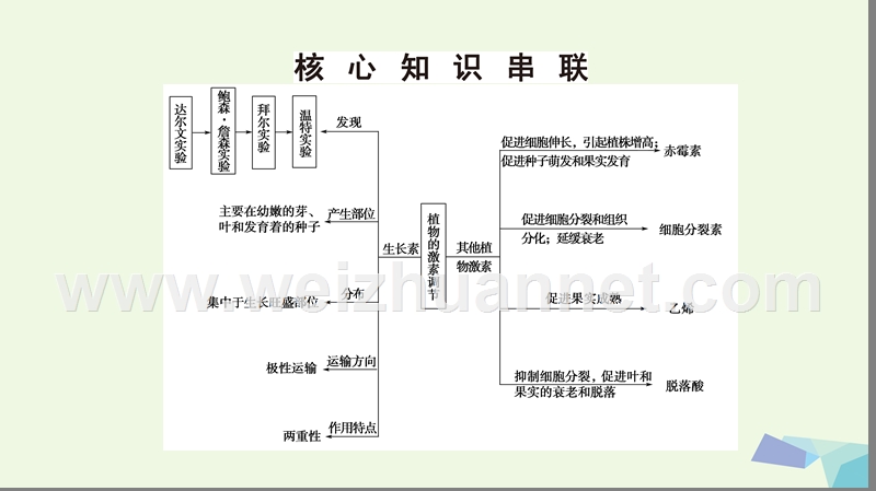 2017届高考生物二轮复习 第1部分 板块3 调节 专题11 植物的激素调节课件.ppt_第3页