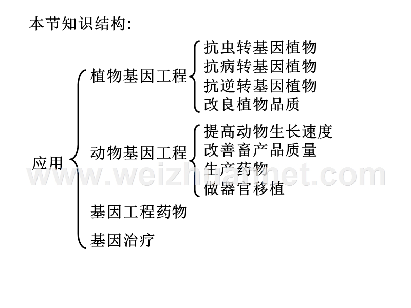 13-基因工程的应用2014lyr.ppt_第1页