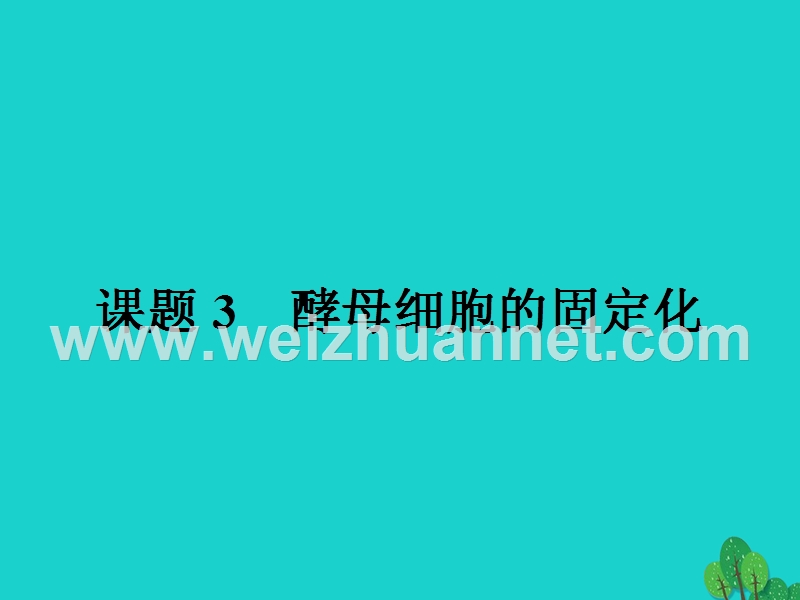 2017届高中生物专题4酶的研究与应用课题3酵母细胞的固定化课件新人教版选修1.ppt_第1页