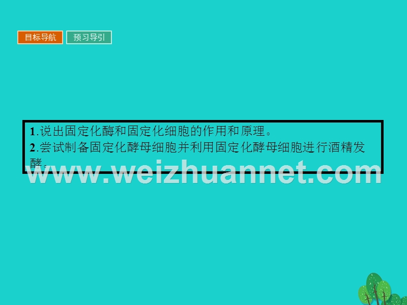 2017届高中生物专题4酶的研究与应用课题3酵母细胞的固定化课件新人教版选修1.ppt_第2页