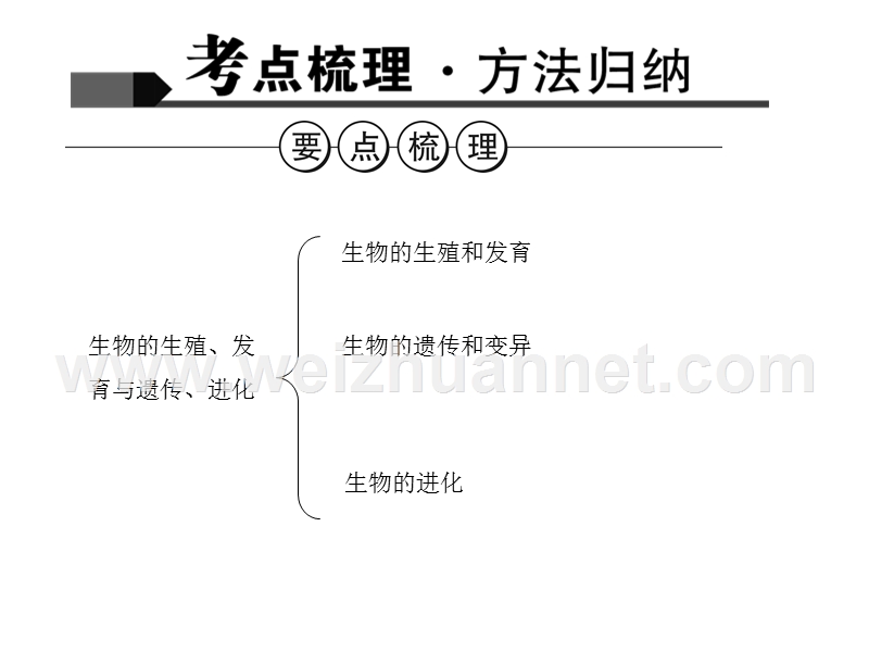 2016聚焦中考生物习题课件专题7--生物的生殖、发育与遗传、进化(1).ppt.ppt_第2页