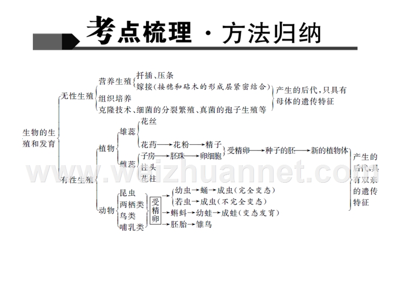 2016聚焦中考生物习题课件专题7--生物的生殖、发育与遗传、进化(1).ppt.ppt_第3页