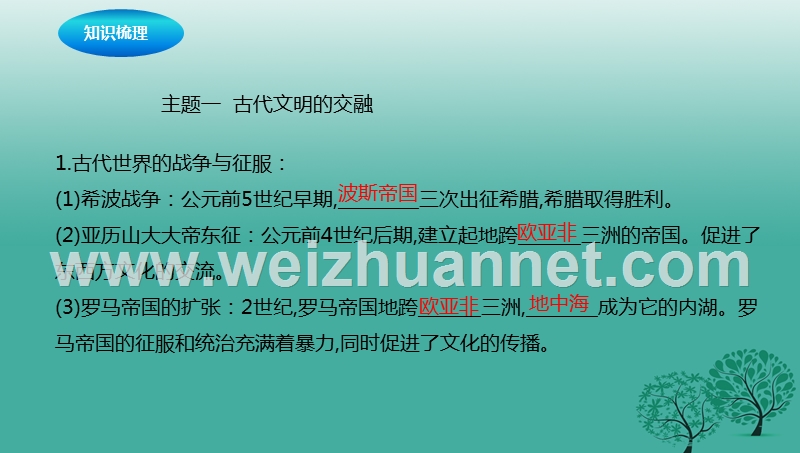 2017年中考历史一轮专题复习古代文明的传播与发展课件.ppt_第3页