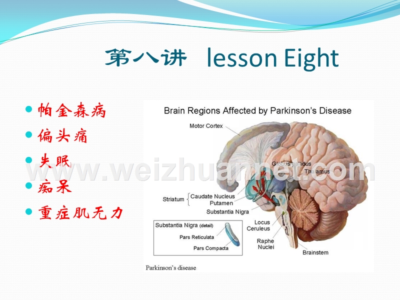 西医临床学-第八讲.ppt_第1页