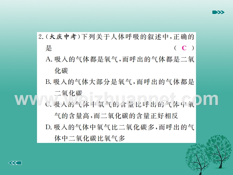 2017届七年级生物下册第10、11章小结与复习课件（新版）北师大版.ppt_第3页