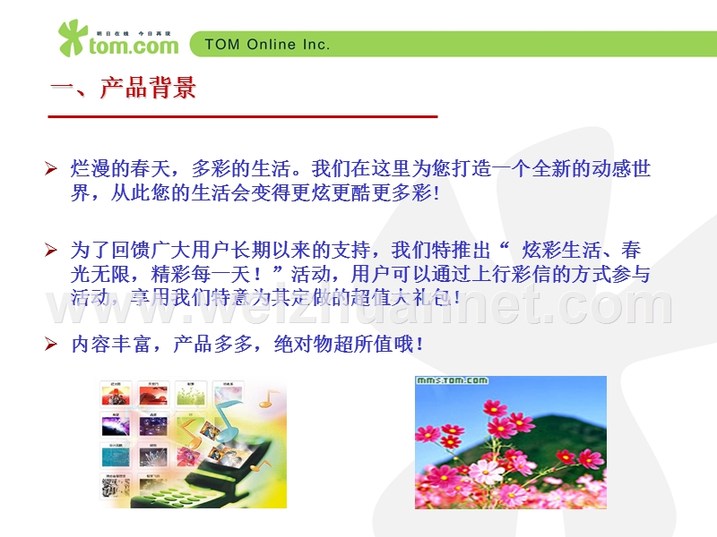 彩信推广方案.ppt_第3页