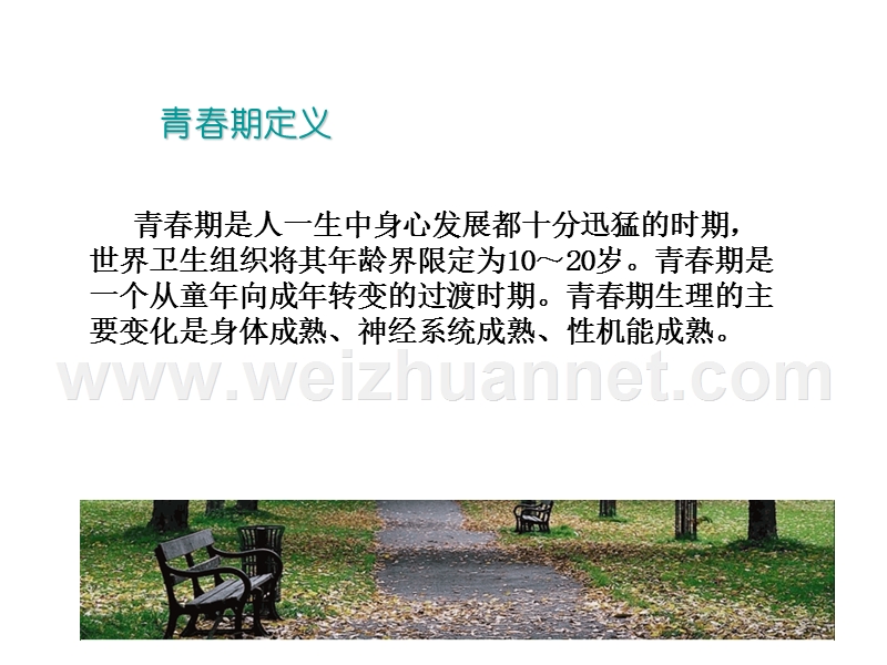 成长的青春.ppt_第3页