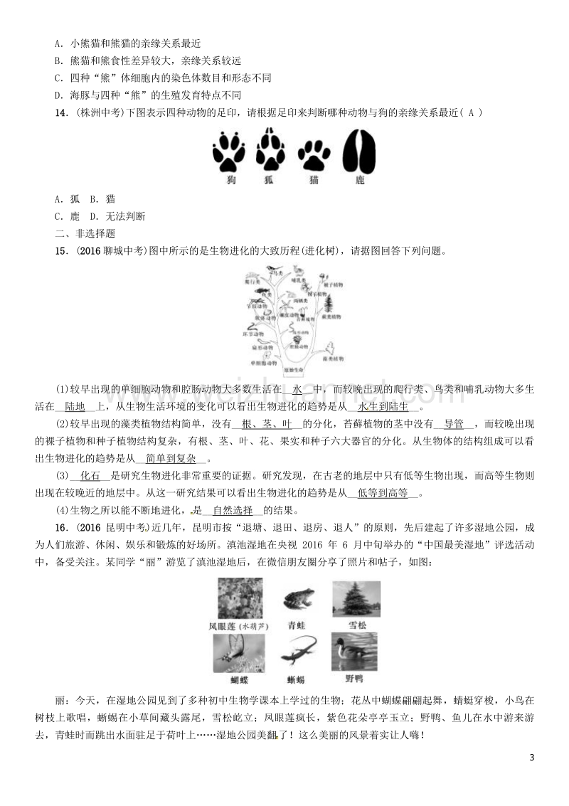 【中考命题研究】（怀化专版）2017年中考生物 教材知识梳理 第七单元 生物圈中生命的延续和发展 第三讲 生命起源和生物进化精练.doc_第3页