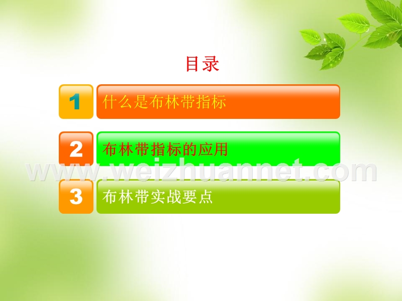 boll指标讲解.ppt_第1页