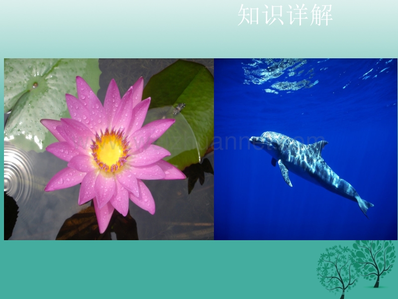 【pk中考】（湖南地区）2017中考生物复习 第一单元 科学探究课件.ppt_第3页