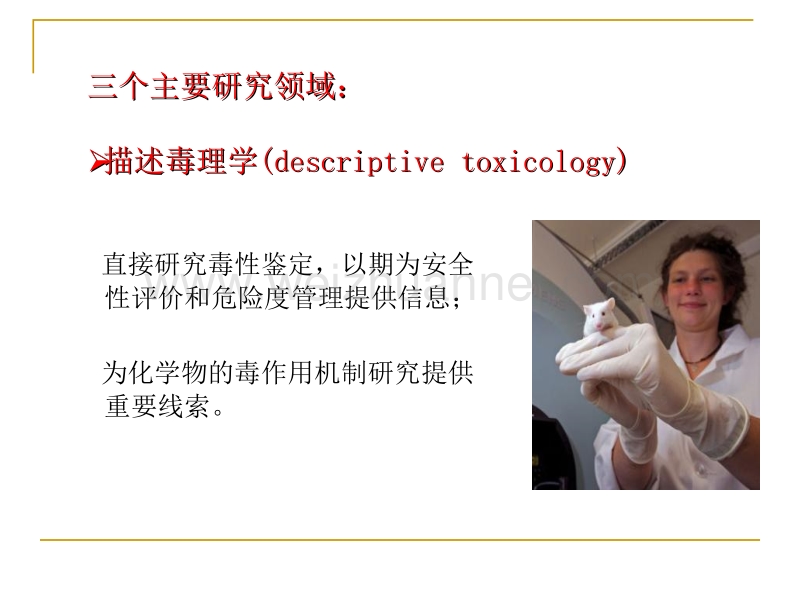 食品毒理学第一章.ppt_第3页