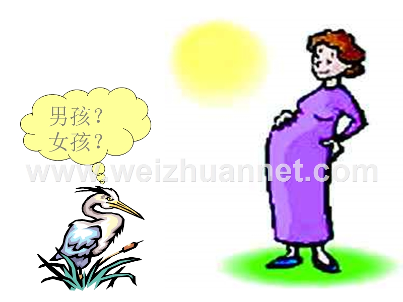 八年级生物人的性别遗传2.ppt_第1页