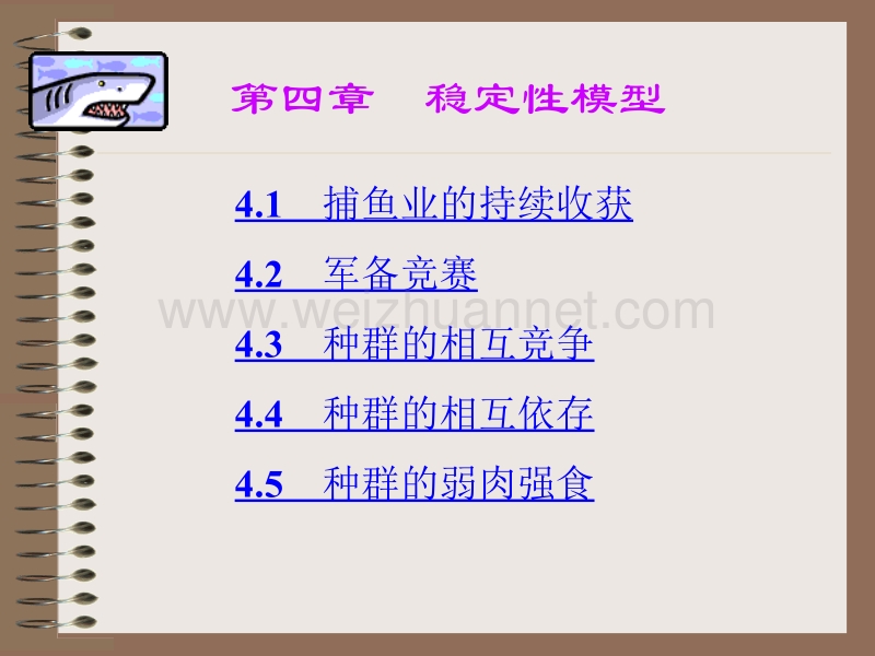 数学模型3-稳定性模型.ppt_第2页