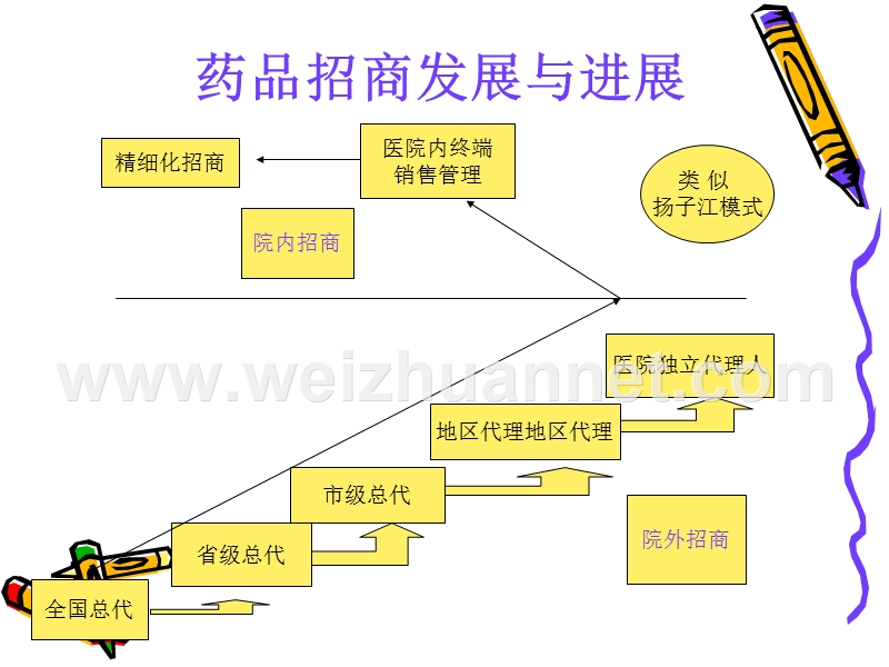 处方药招商：专业.ppt_第3页