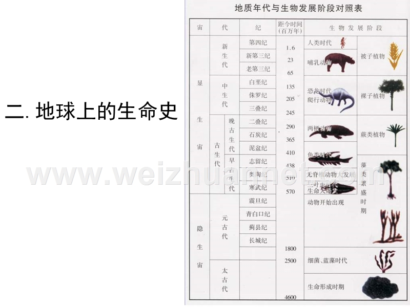 八年级生物生物的进化.ppt_第2页